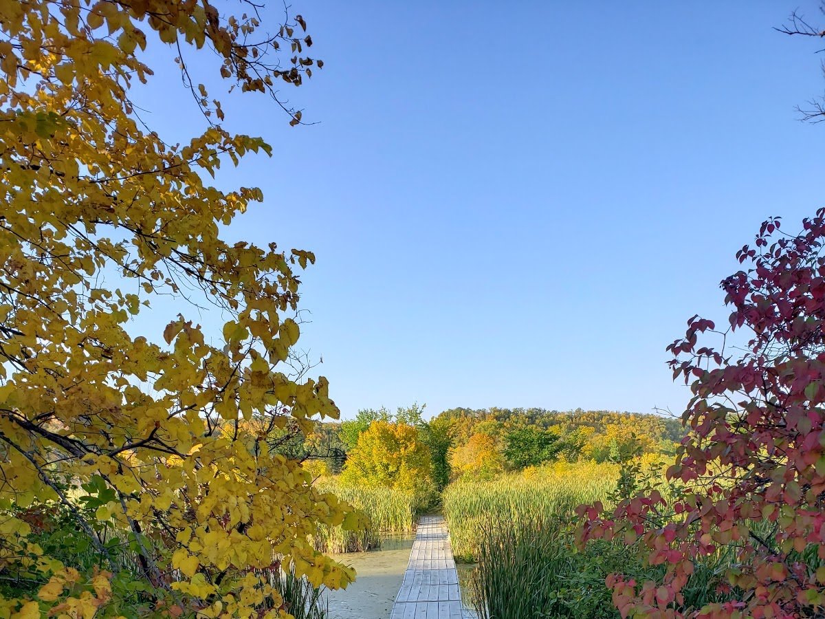 Tetrault Woods State Forest