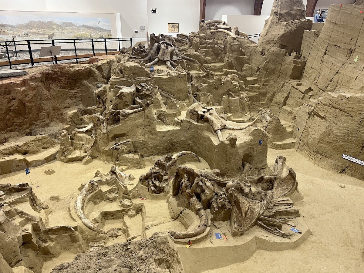The Mammoth Site