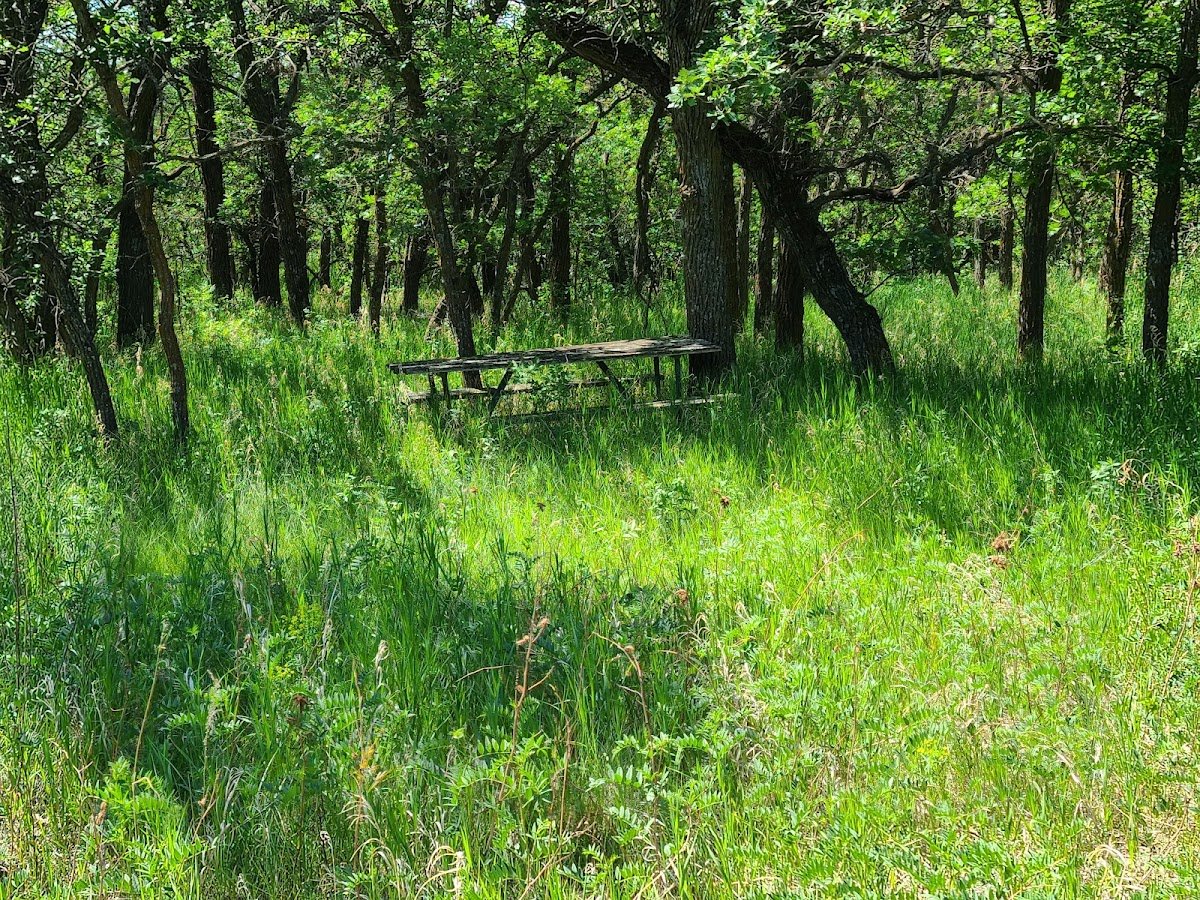 Turtle Mountain State Recreation Area