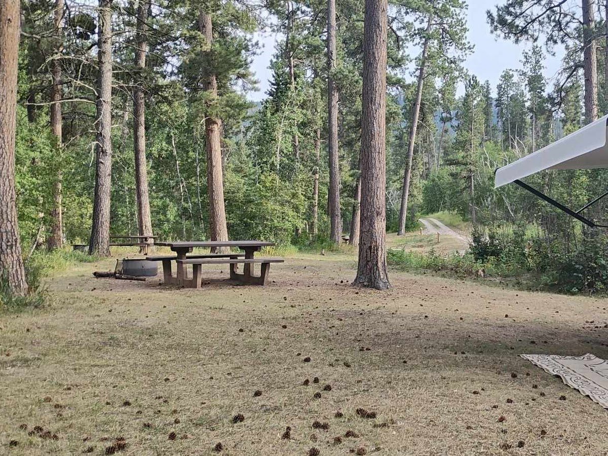 Willow Creek Horse Camp