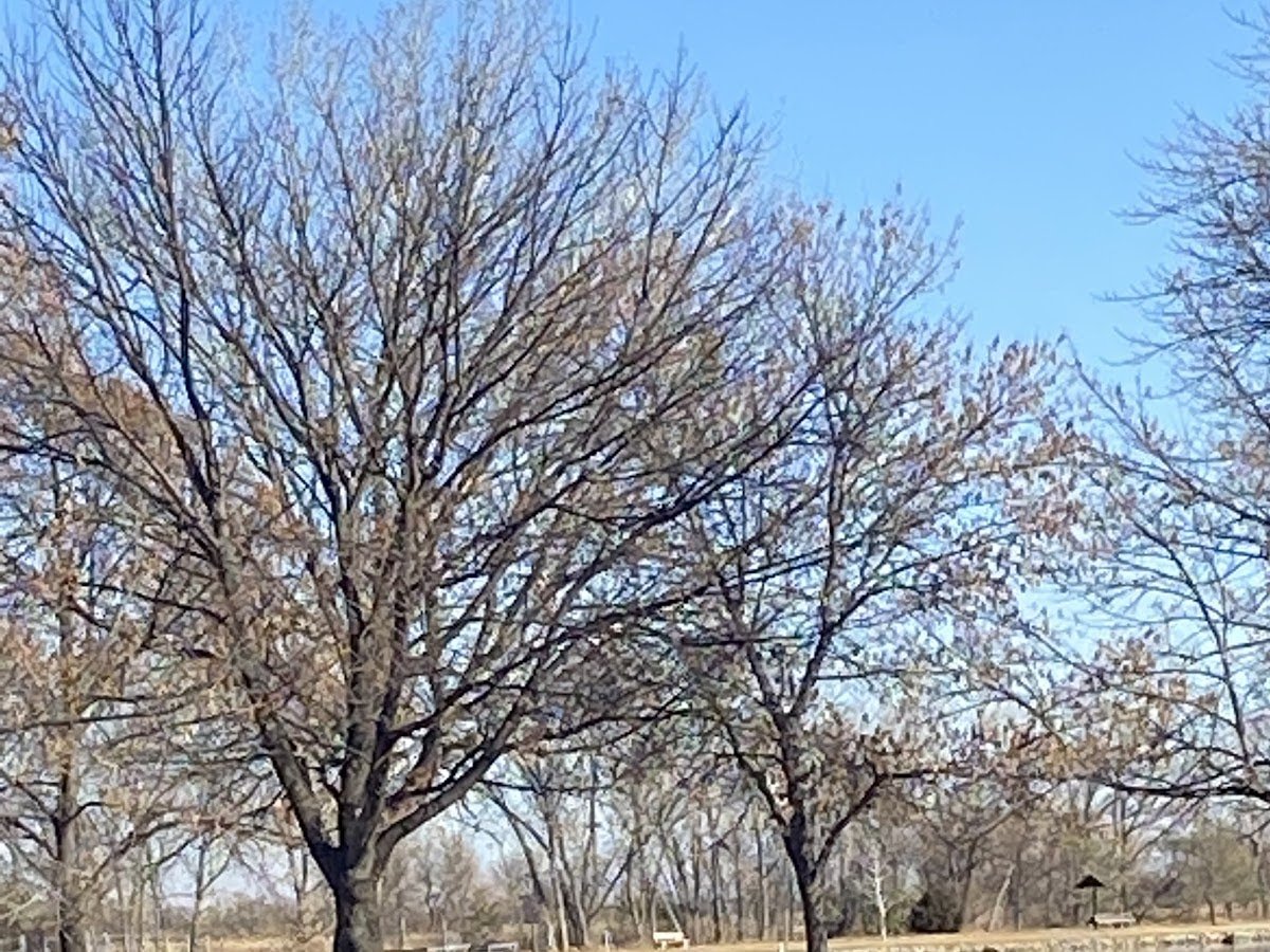 Wylie Lake photo 1
